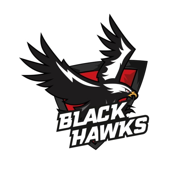 Black Hawks Logo